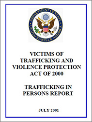 2001 TIP Report thumbnail
